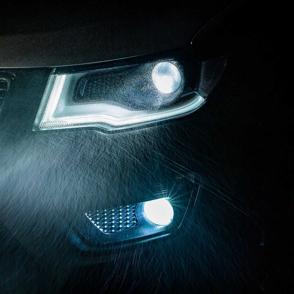 image_0b06b85a-23e9-4dc7-bbec-8db47cb7a44a