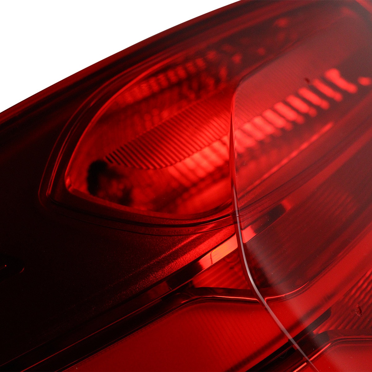 image_1dad8821-5657-4db7-85f9-9fa4cde6c310