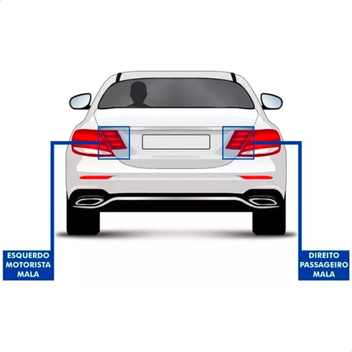 image_c74b6441-4a3b-4014-a19f-4062941b9dd7