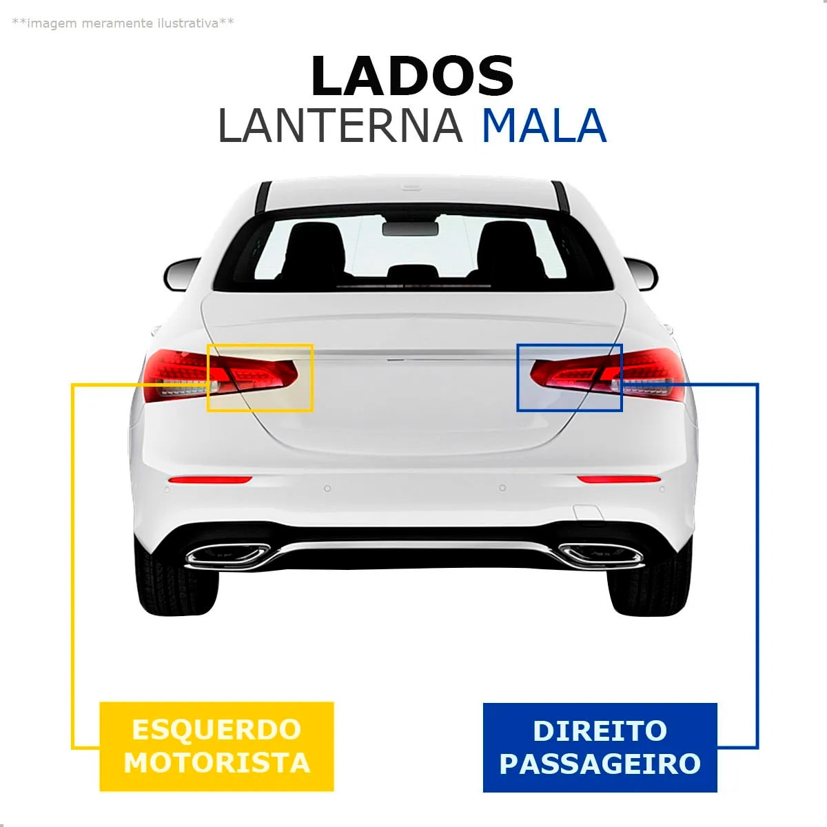 image_495ebefb-fb8c-4d1f-9238-ef21e78ce6d6