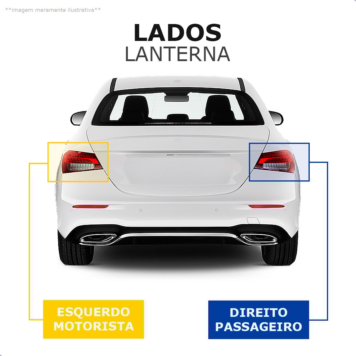 image_d80af300-bdb9-4c4e-b796-3203f310db83