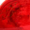 image_89816221-4ea2-4f97-9d27-723d1a6b326e