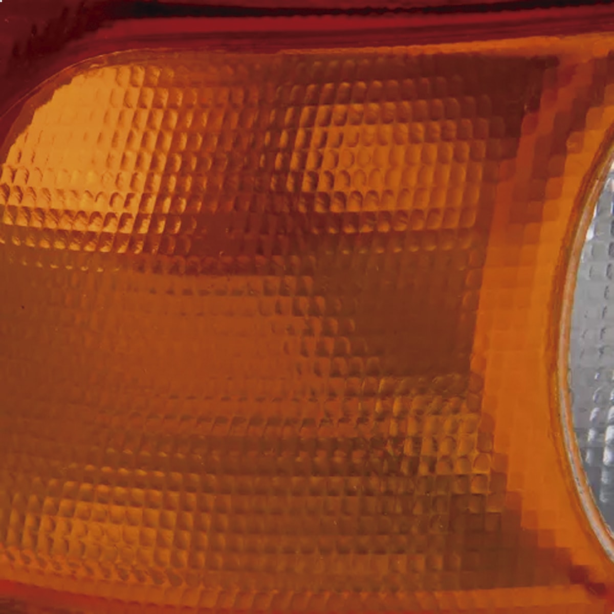 image_c5da9a46-c19f-4942-a90f-4e9ed57fee5e