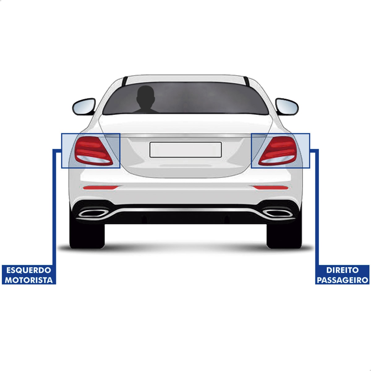 image_e08168fb-66a7-424a-83ea-2eabadb12cc5