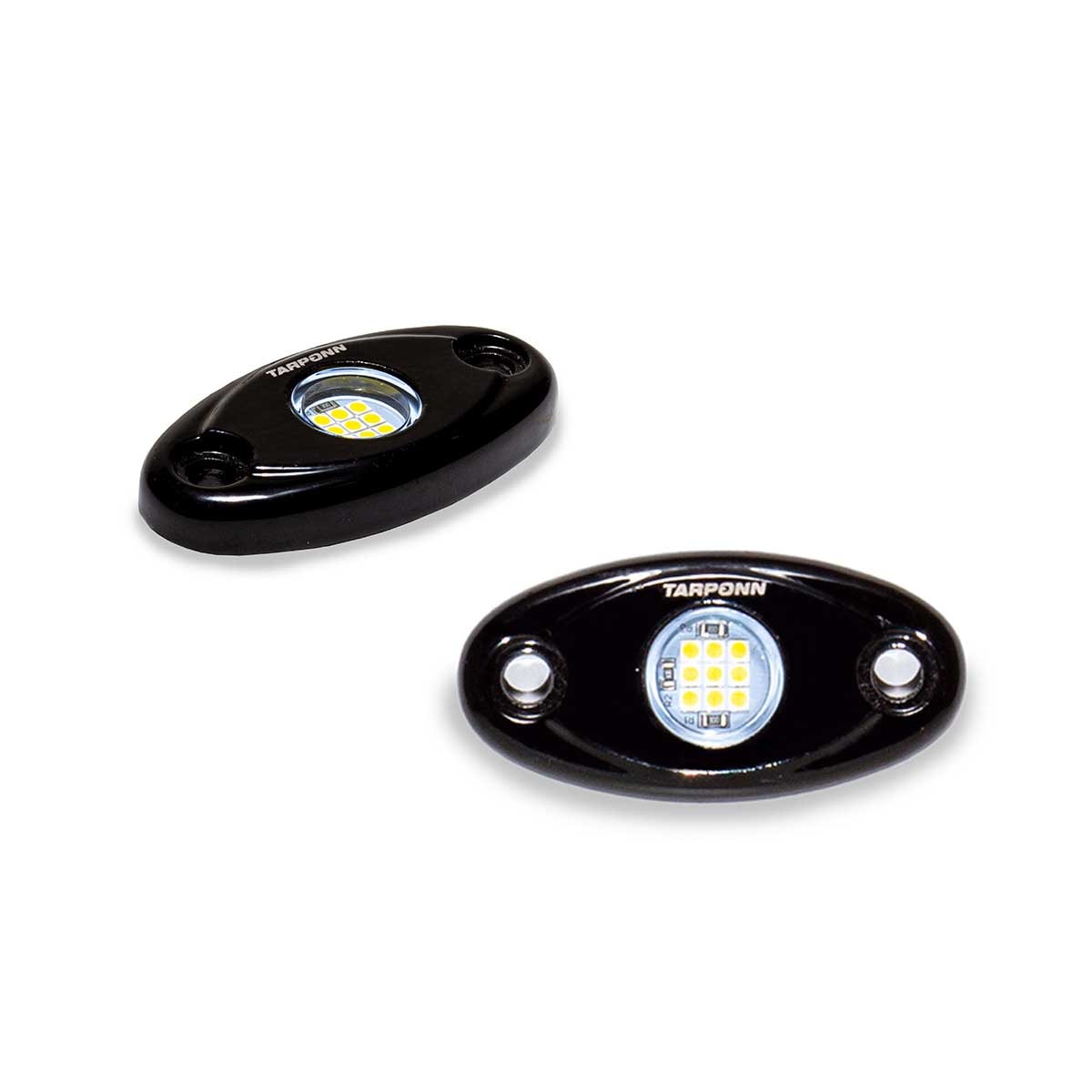 image_9b9b75db-bea3-48f4-b188-4c8ea9fc8214