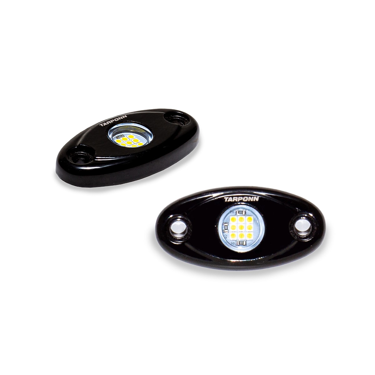 image_030ae9f4-f811-4d21-b615-b87a727f338e