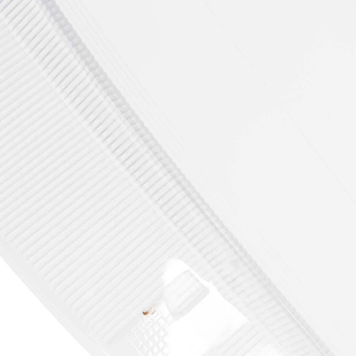 image_c0aa6585-1276-4677-8a2d-b5ff29115184