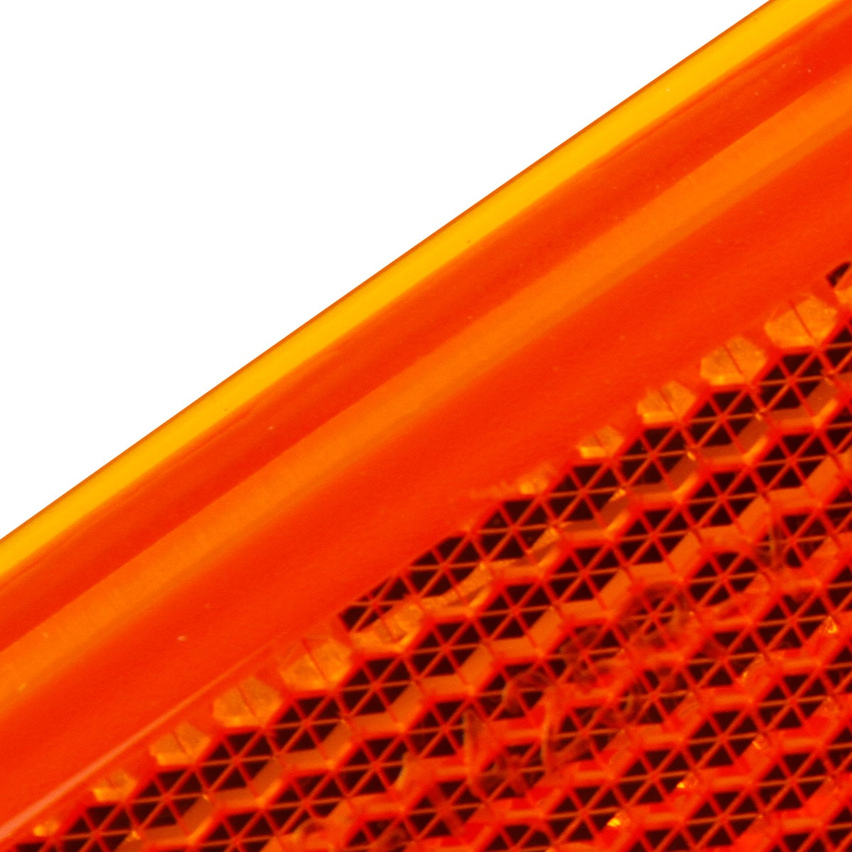 image_e5a89995-50dc-4db7-bd2f-adb8710ecbc6