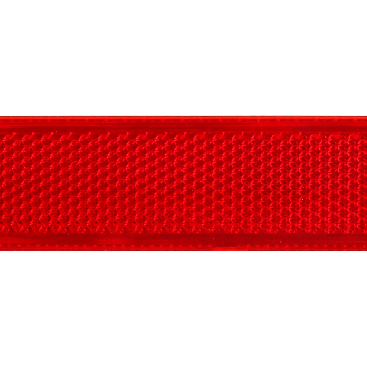 image_cdd5f073-8e10-42f8-8ab2-c7f0479a2dd0