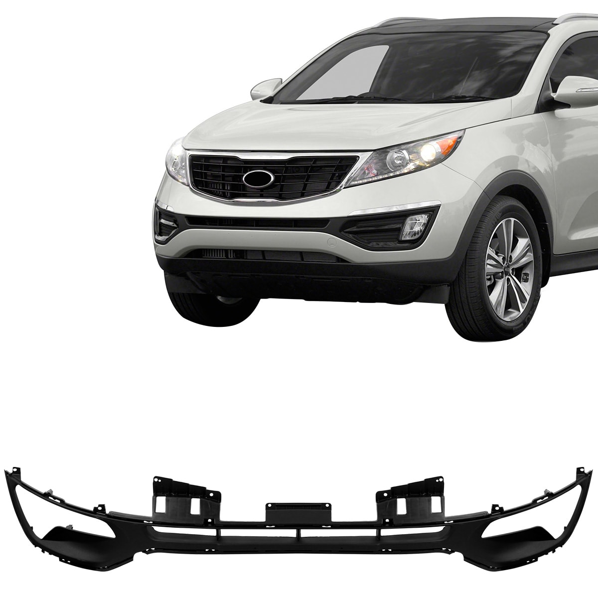 image_29e14447-4360-44db-867a-f1014f316065