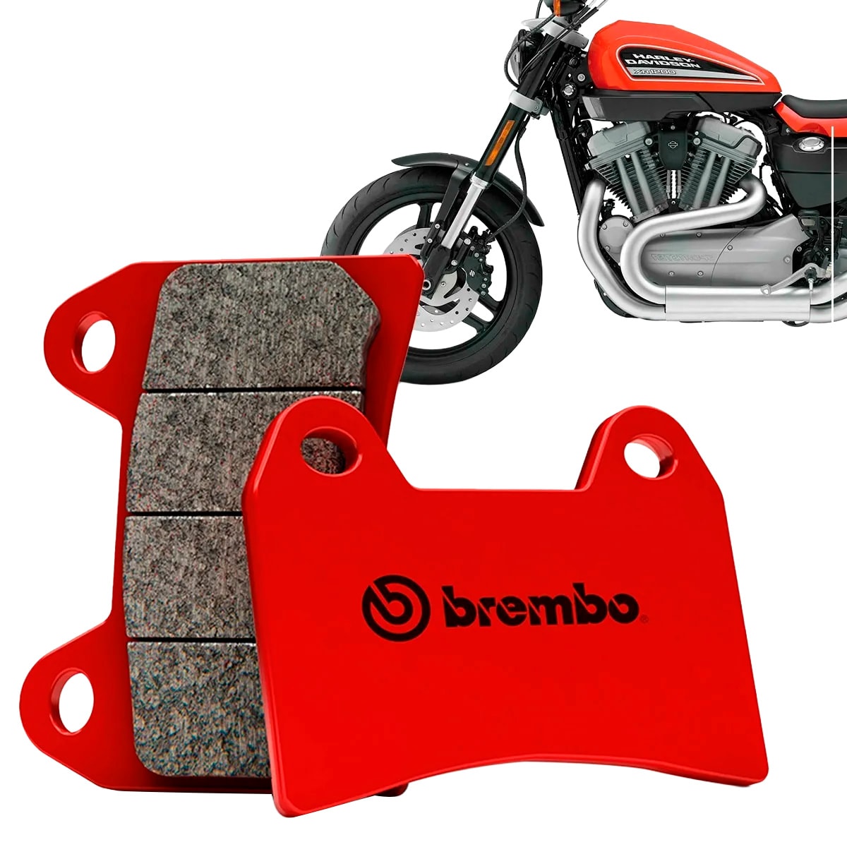 image_af567a1b-5af9-4204-b07a-04c972f82b73