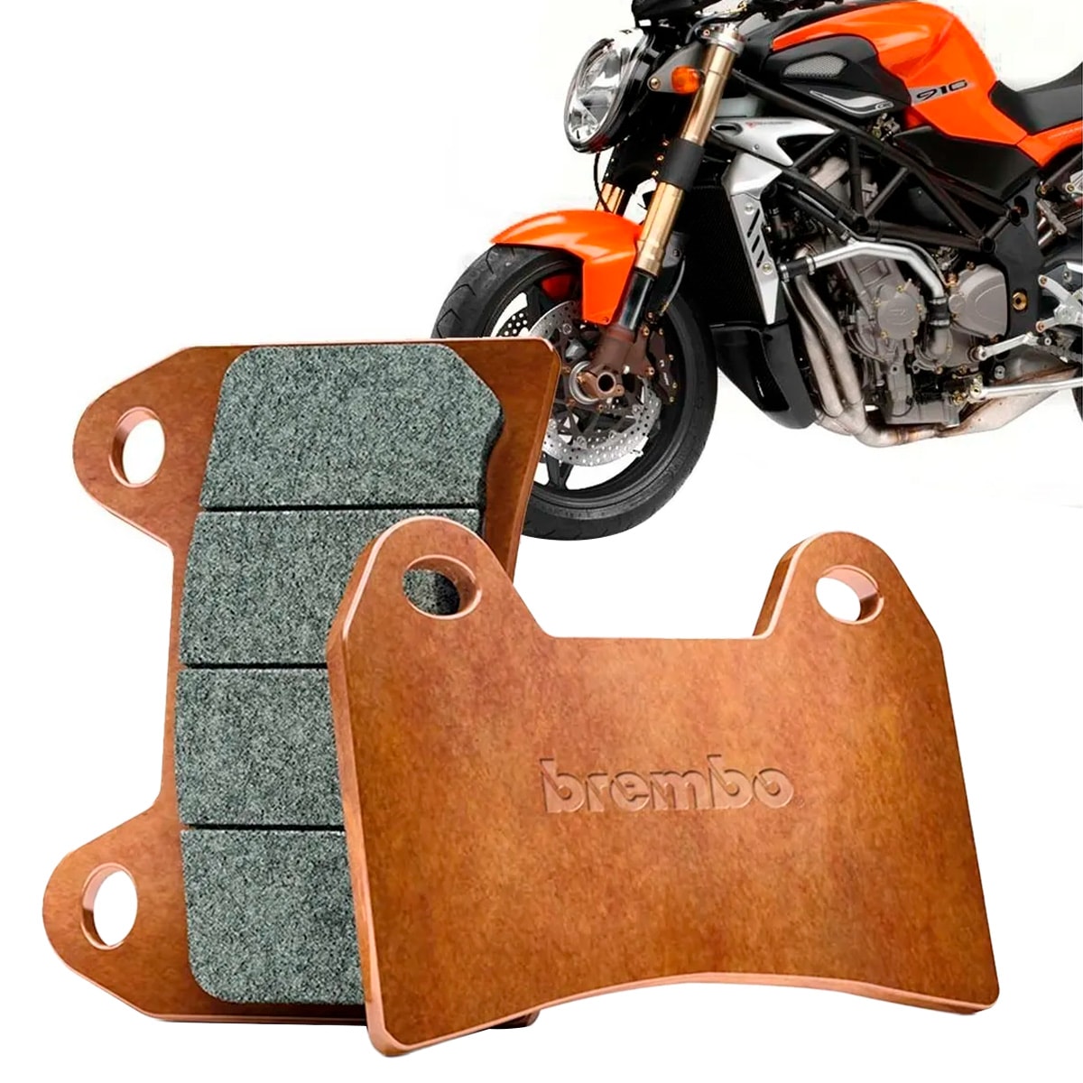 image_8c8d1008-6aa3-4da7-91c0-a86f183c26c3