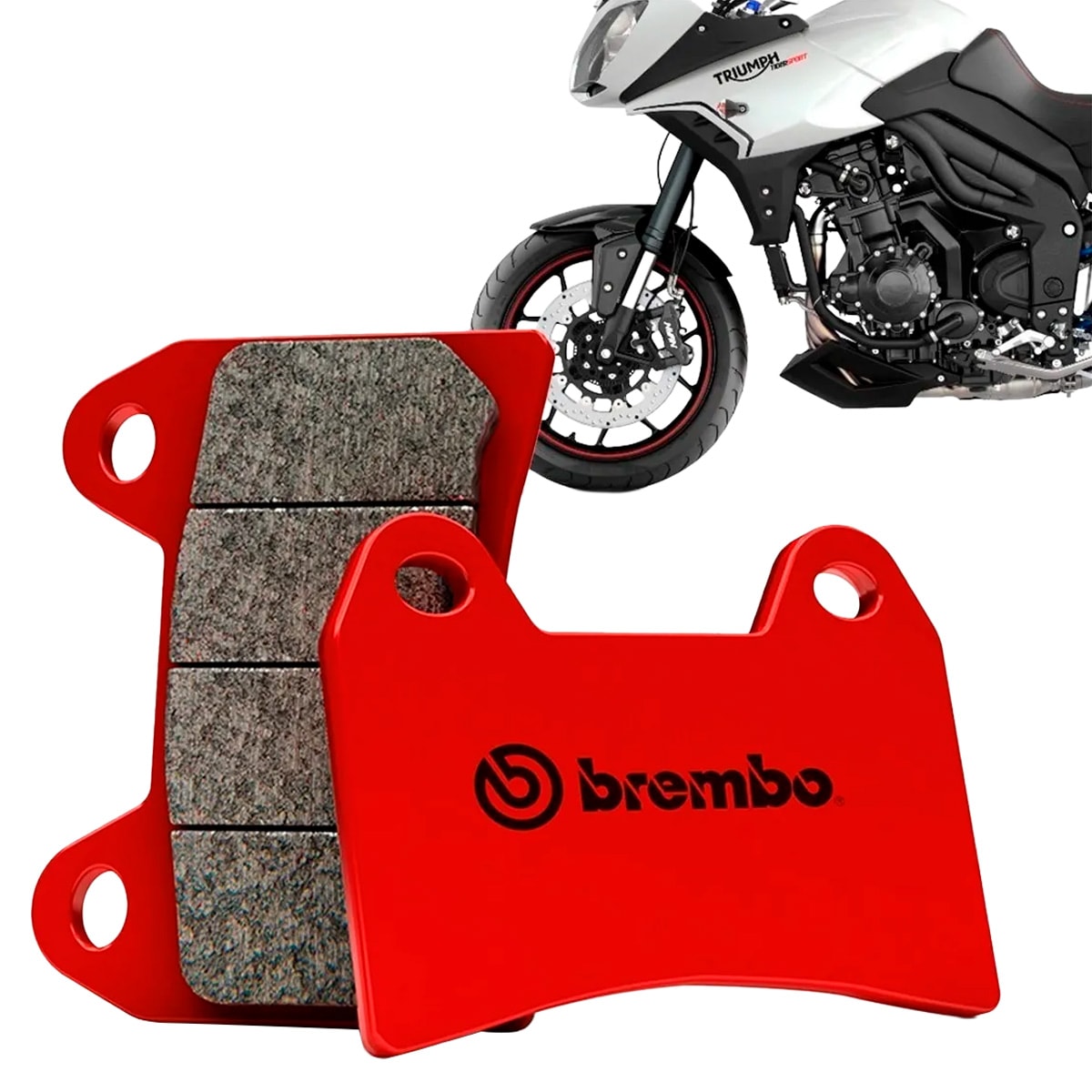 image_b40473b7-4777-4db8-9605-df028bb006e9