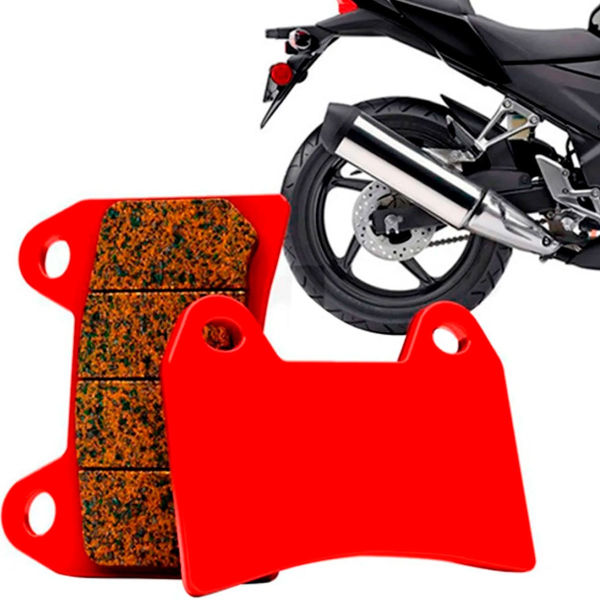 image_219d9175-20e7-46e8-bff2-fe8e0b21d696