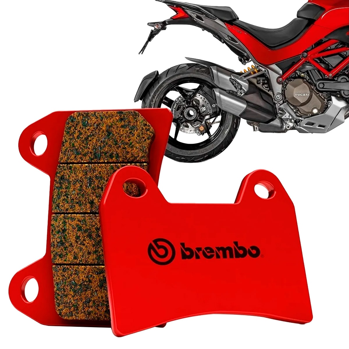 image_e11d359e-72c5-4b66-861b-a9ffb16c09bb