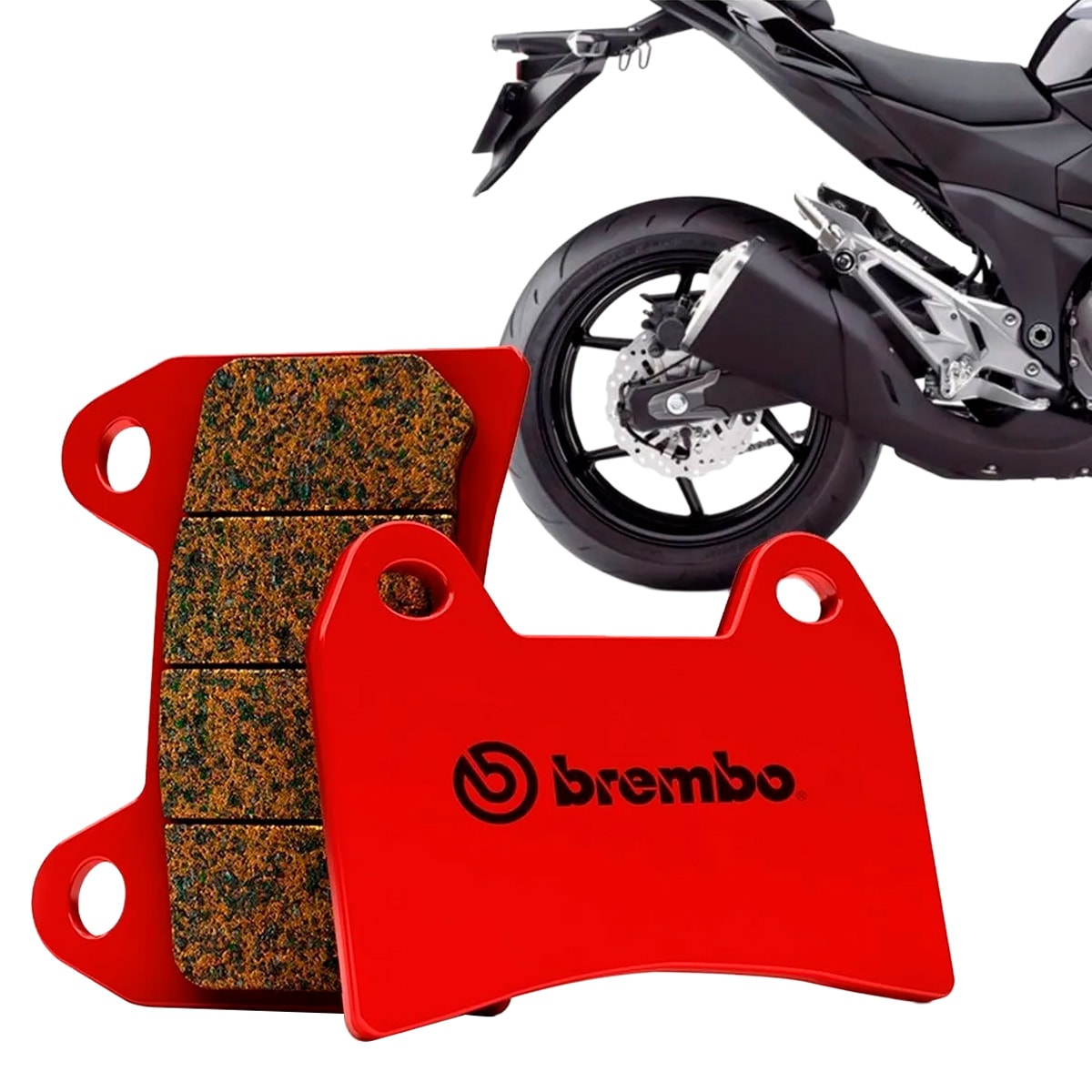 image_071f8c90-604d-4286-9650-bf6236a06793