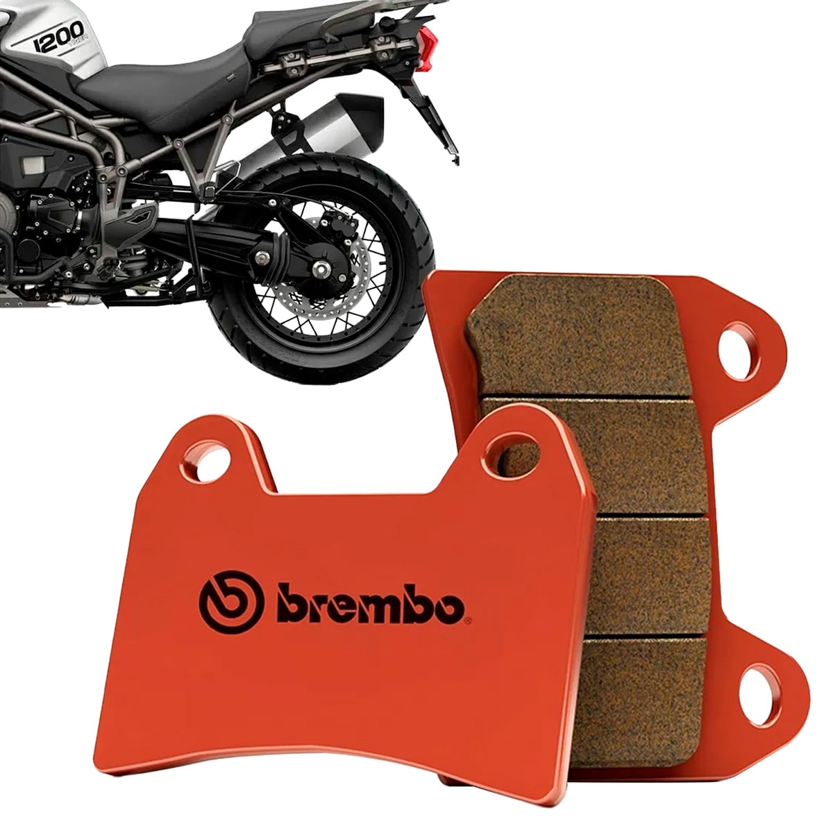 image_d33a4054-11d8-4561-acc3-e361fdd71adf