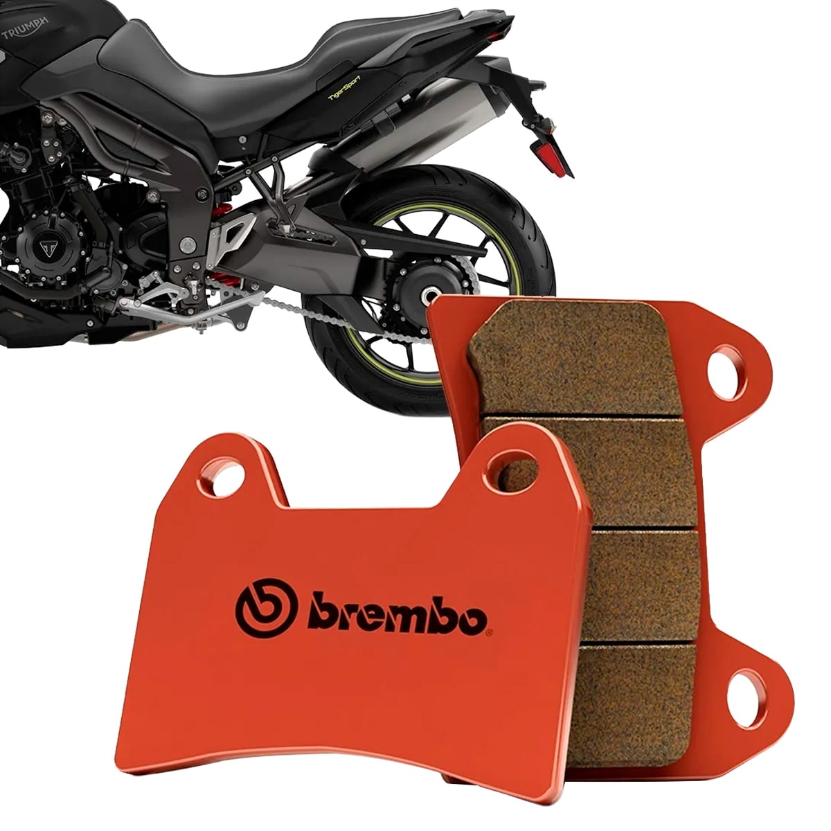 image_94d87fe4-7731-4523-8c24-26a55b2649eb