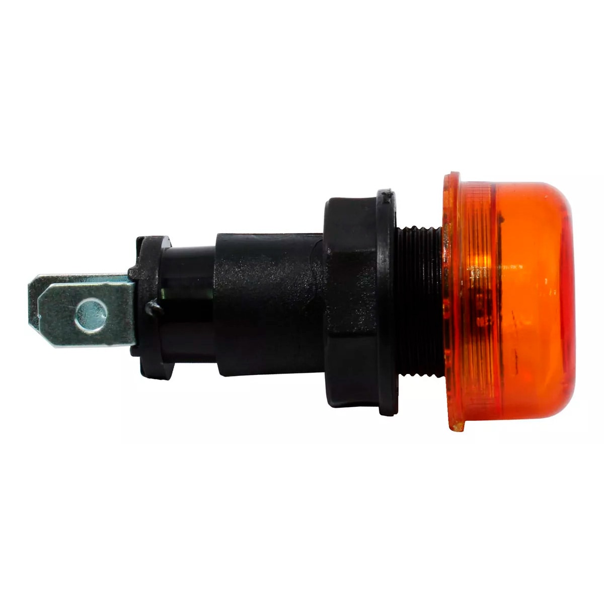 image_53f0737c-bf66-4b1c-9f22-ceaf8786f135