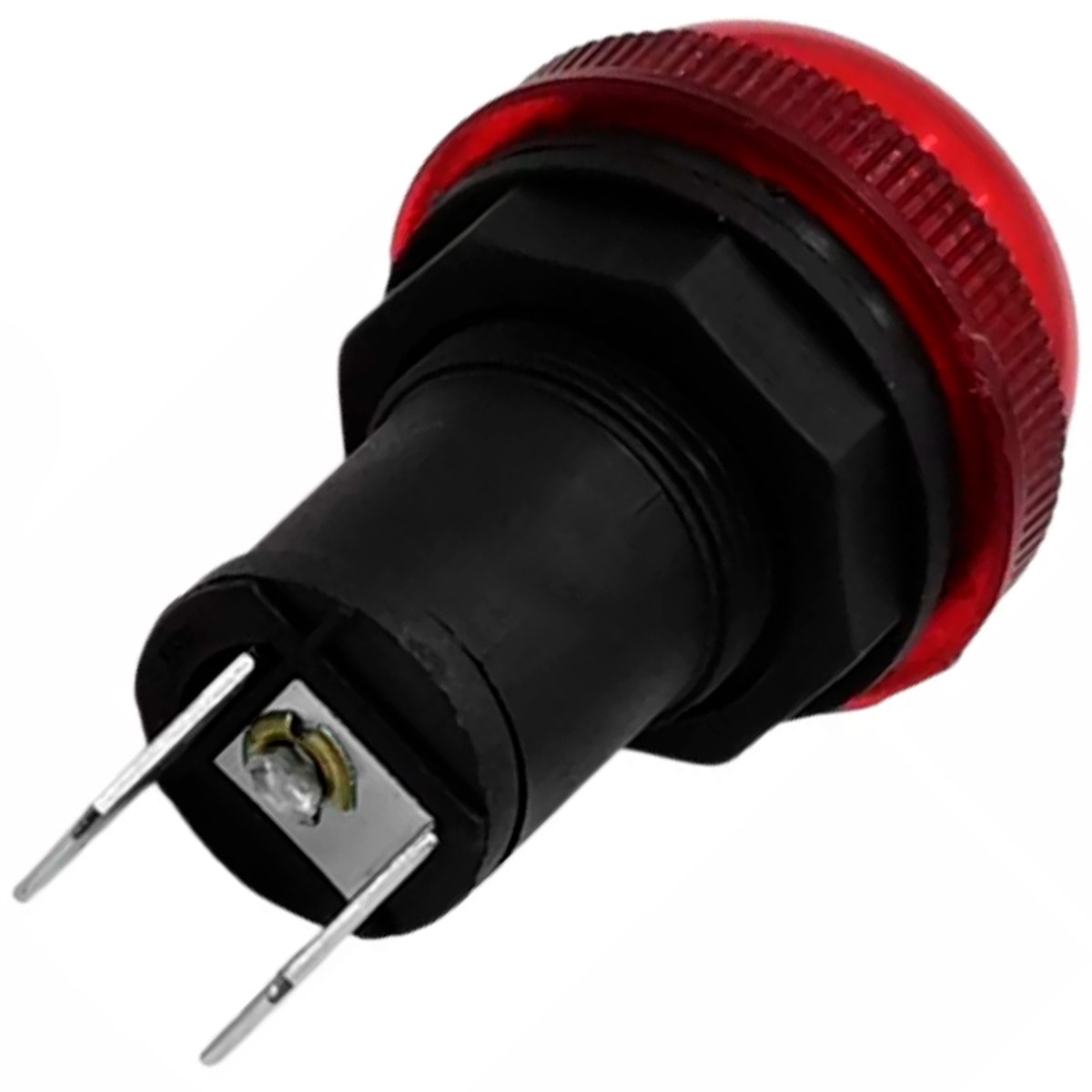 image_498955c0-4b1f-4c64-bdce-127d71b84093