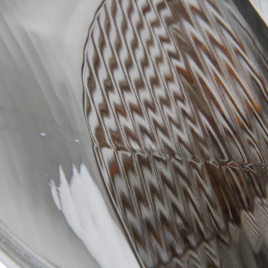 image_d7bf1a1e-ef7f-43cd-a4b5-225edce427dd