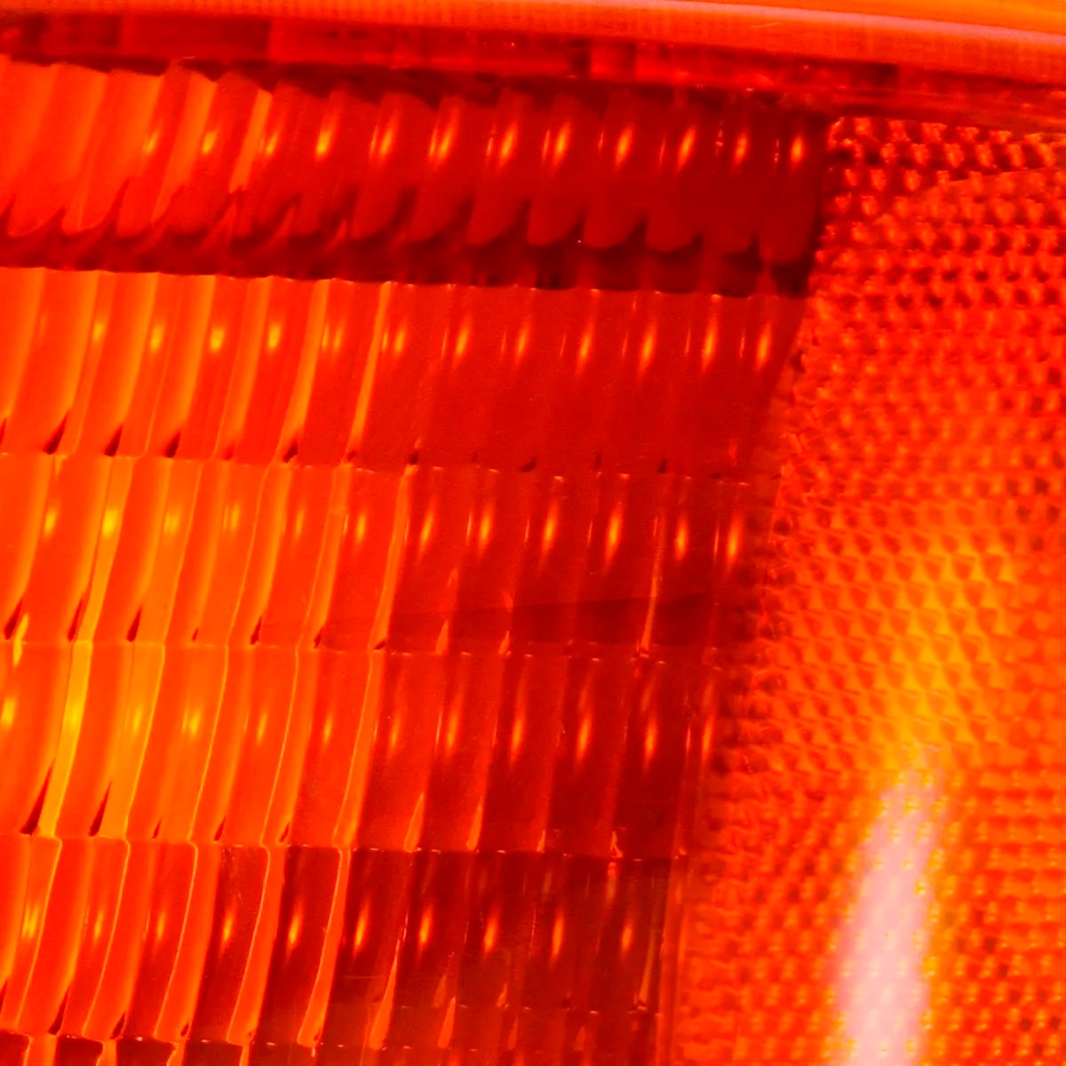 image_bb3d7669-3167-49b7-8c29-aebd2c5df229