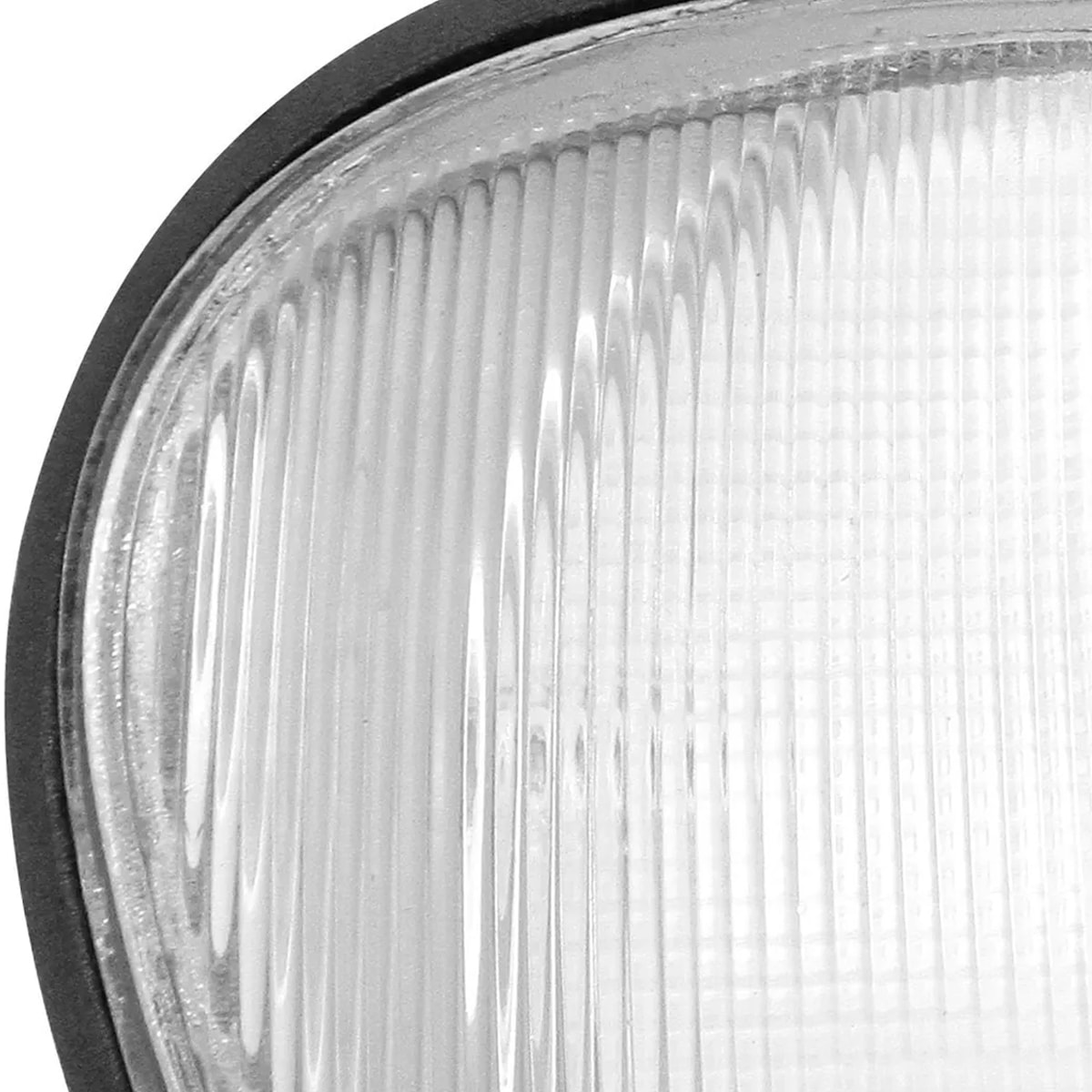 image_5eca8b53-edb9-4600-81ff-e677cb8d8a05