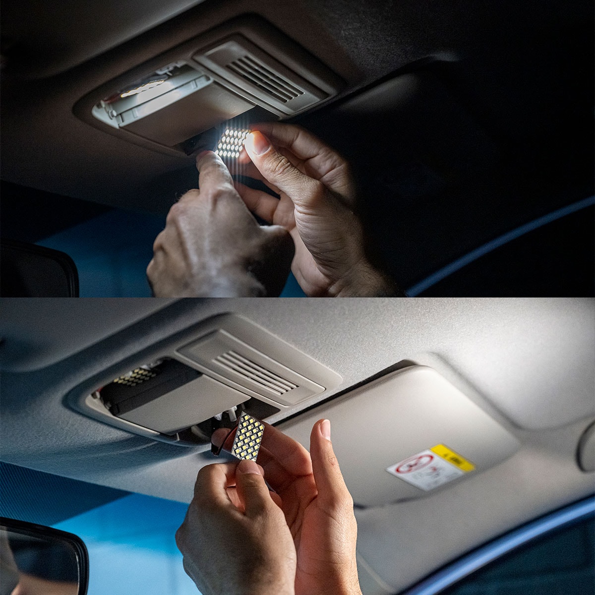 image_848adea9-cc25-4294-9d22-575eb226e301