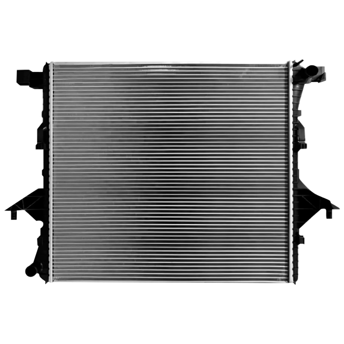 image_90e655ba-c8bf-4c19-84cf-4e521c201374