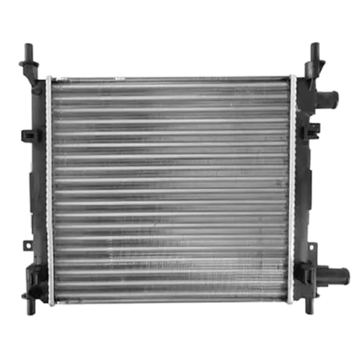 image_d907dce0-2aa7-4eea-a302-46b723ce9dec