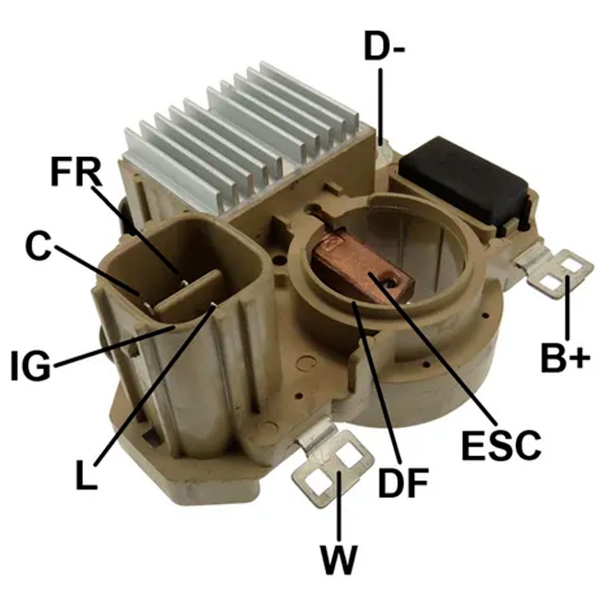 image_b991ae4e-d384-402d-baf9-b71de593b1b6