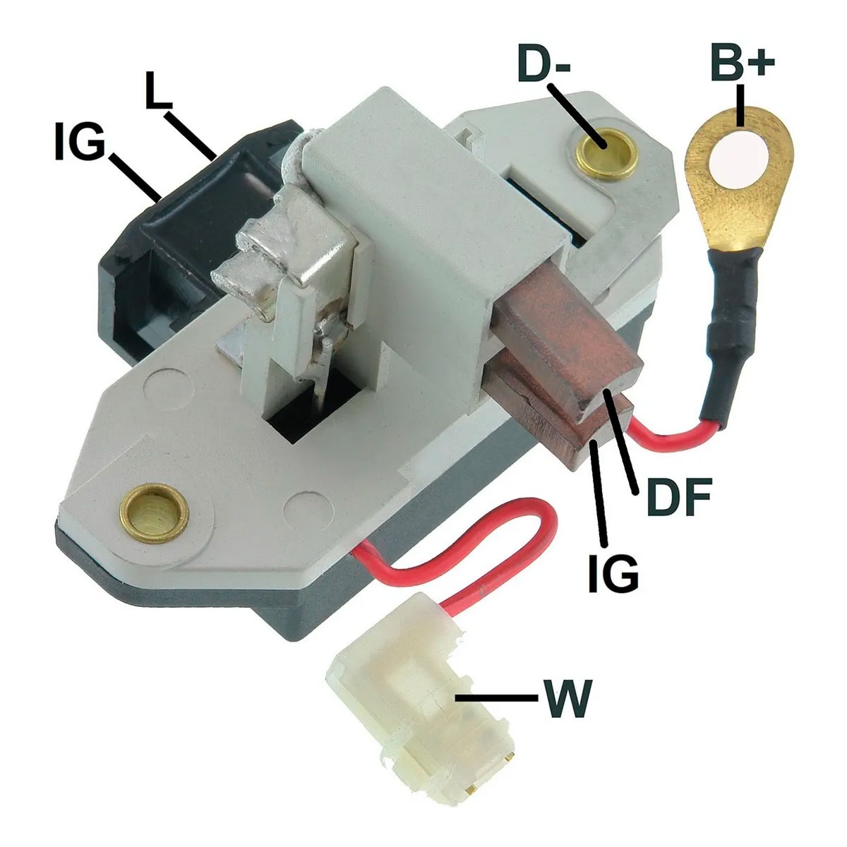 image_e5781ea7-ef69-4bd5-86ad-a0aaf84fad2e