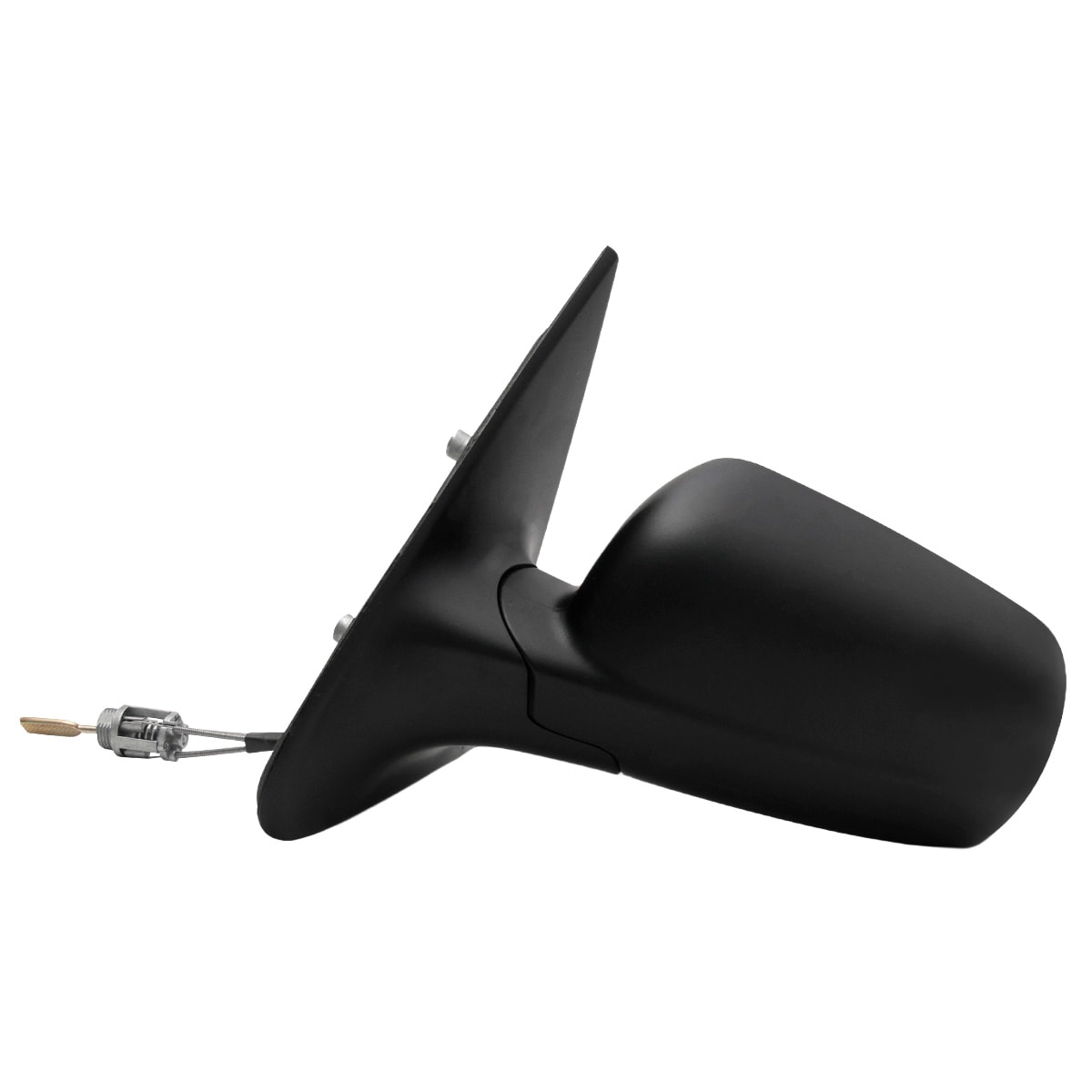 image_d2ae9075-4309-41a7-9727-66c8f25fbdac