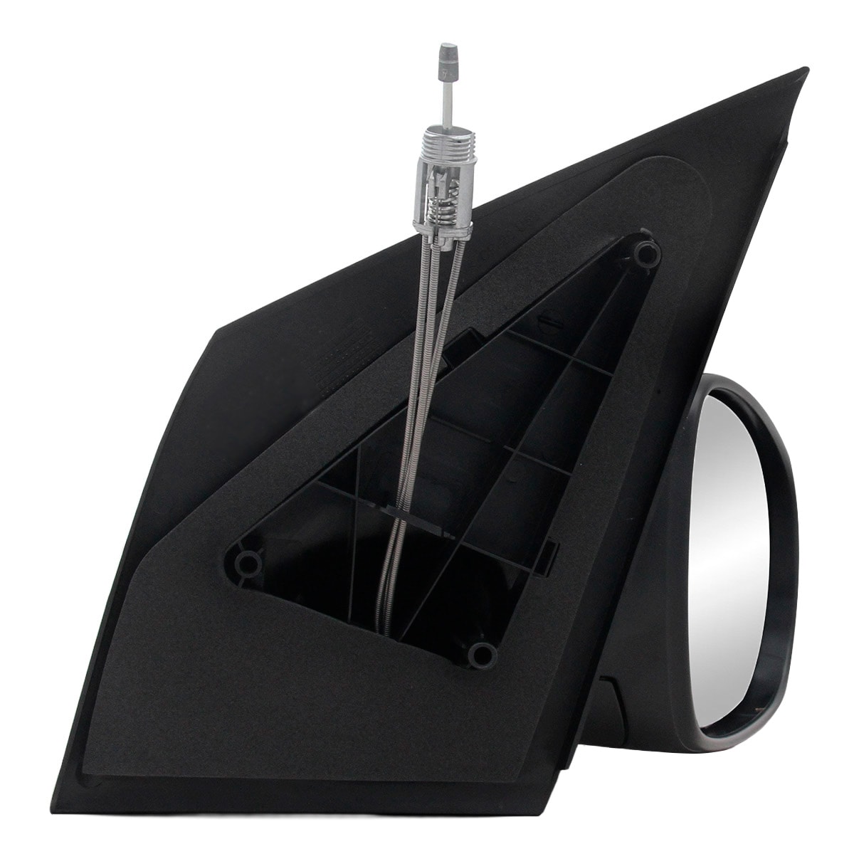 image_c6107564-b447-4e6a-bf1f-df3019e3bed1