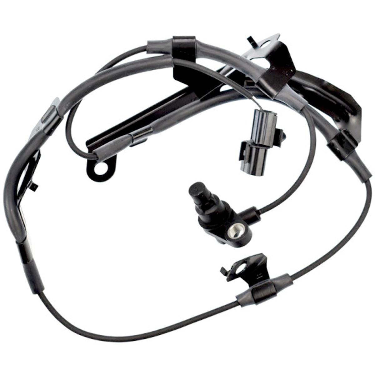 image_d8db28b0-a1e2-4e51-9405-e4c7f882930c