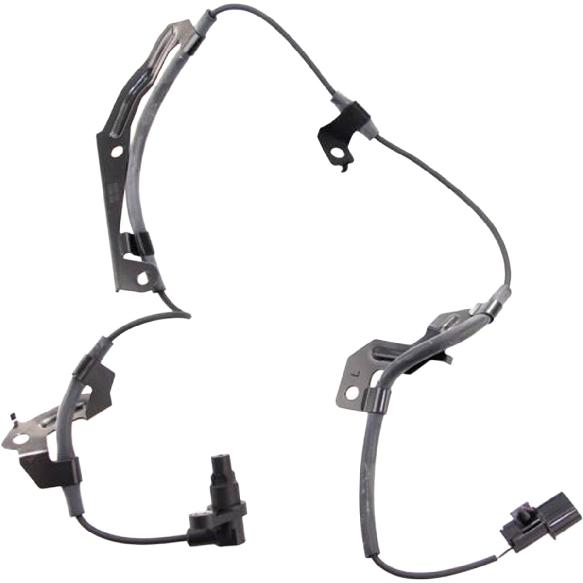 image_b062e526-a8e9-4a66-ac97-04bfe7157252