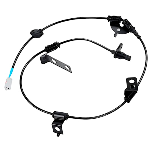 image_78cca2e9-7450-44ec-af52-b99e10d54173