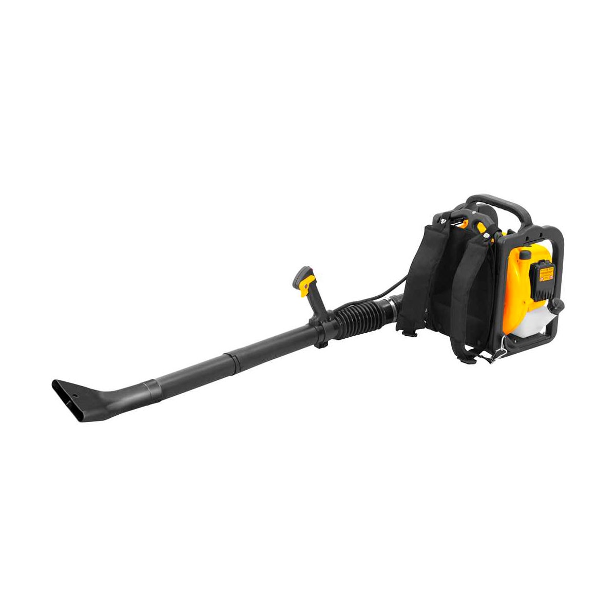 image_21171a70-0db8-49cc-b185-43d18807dc7b