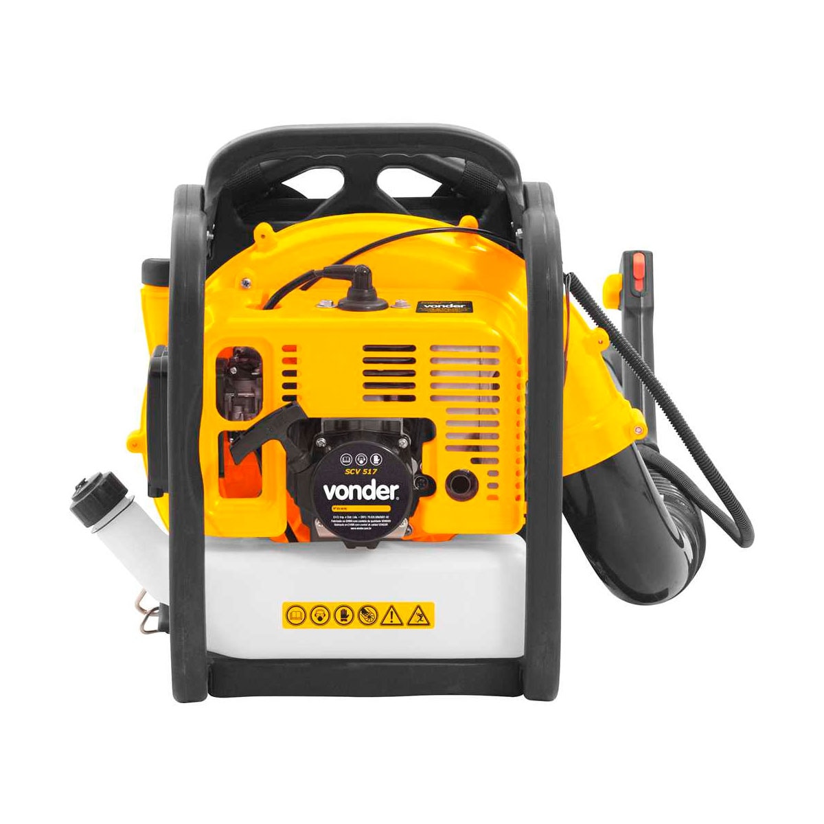 image_8a067673-97f0-4f81-9197-72aa1424ff53