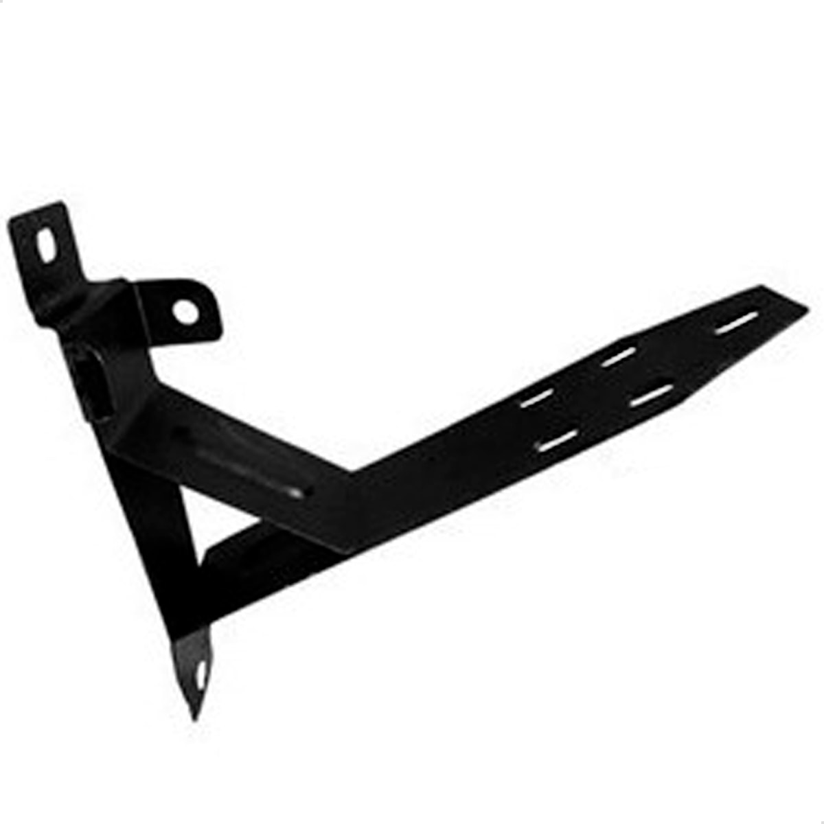 image_509d64b4-b8fe-4c9d-8427-a59b7e2533bf