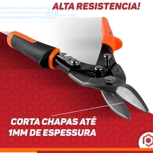 image_ecc1f343-e208-4dbb-a3dc-5f3bbd43e007