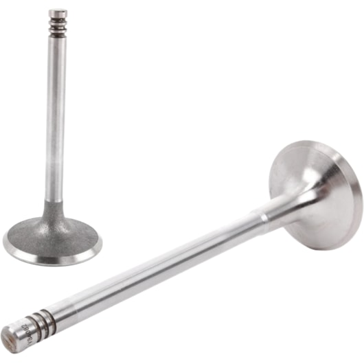 image_55f3d89a-5bea-45d3-bf05-e574c4d9e6ee
